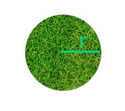 Cálculo de área de gramados - Círculo
