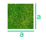 Cálculo de área de gramados - Quadrado