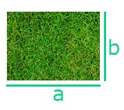 Cálculo de área de gramados - Retângulo