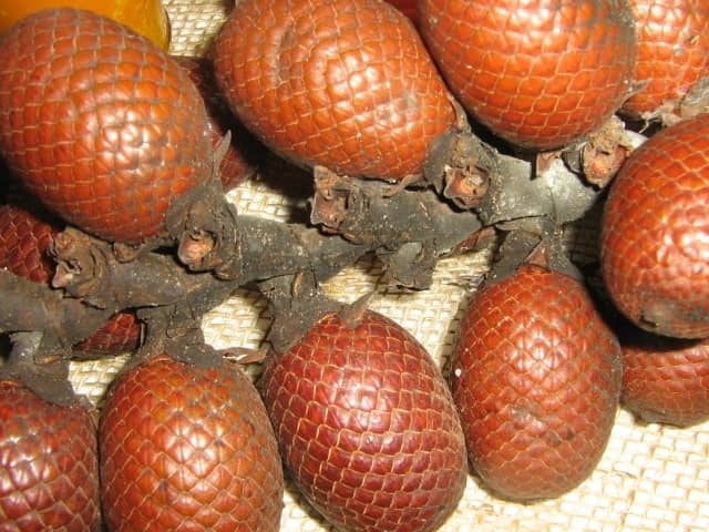 Fruta buriti